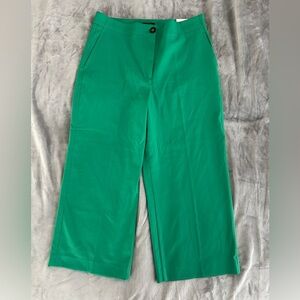 Ann Taylor The Wide Leg Crop in green. Size 14 NWT